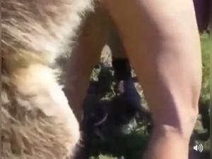 Bestiality with a Dog