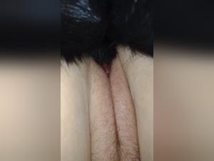 bestia tabú: sexo con perro