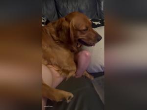 Amateur Surprise: Dog Sex