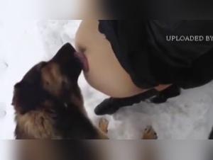 Wild Snowy Fun: Amateur Bestiality Video
