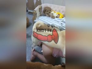 Animal XXX: A passionate encounter with a seductive dog