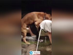 Asiatische Schülerin Hund Sex Schule Teil 1