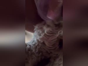 débride ton chien, salope