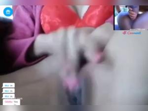 Vidéos de zoophilie avec des chiens et des chats