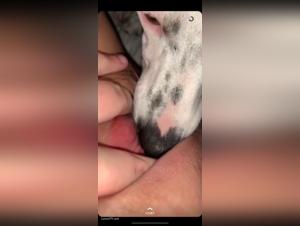 Dog sex video