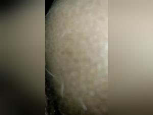 Bestiality Sex: Brazilian Teenager and Dog