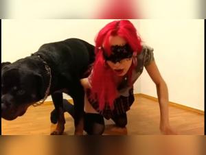 Canine Libido Control: The Key to a Explosive Sex Life with Your Dog