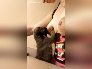Bestial Breastfeeding: An Extreme and Forbidden Experience