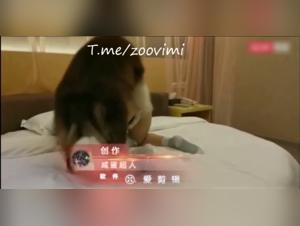 Asian woman gets fucked by a dog for money