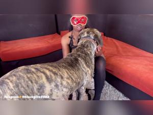 Fuck with a dog: an extreme zoophilia video