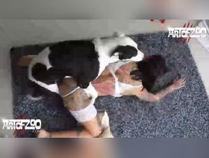 Raven's X Pack: Dog fucks Girl Wild