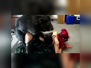 A bestial and intense encounter with a wild boar