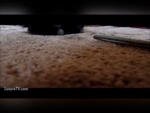 Red-haired woman and dog: an exciting zoophilia video