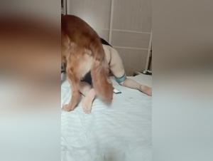 Chien défonce  femme