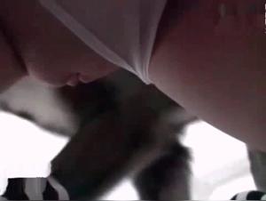 Hund vögelt Babe im Zoo - Hardcore-Aktion