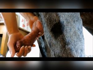 fucking a dog avec chien leche ma femme