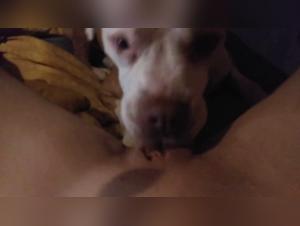 Chubby woman and dog: a bestiality video not to be missed