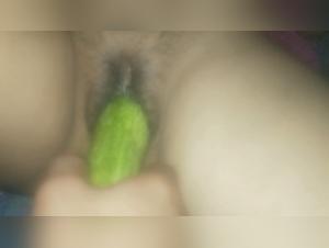 Unveiling Animal Obscenity