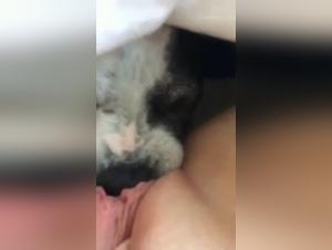 Sex video with a dog: a young woman and her dog in a hard scene