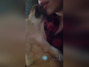 bises animales, sexe interdit