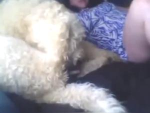 Slut with Dog Part 2