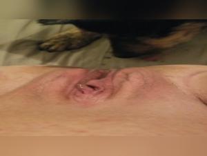 Exciting dog encounter: A woman and her dog in a zoophilia video