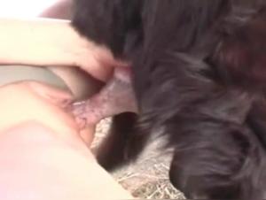 Blonde and dog: a shocking bestiality video