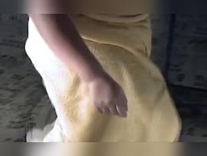 delving into the taboo realm of tier porn