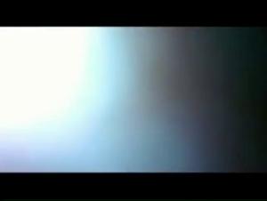 Unforgettable Encounters: Dog Sex Videos