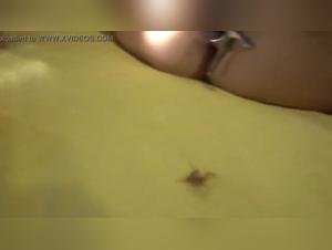 Spider in privacy: a shocking bestiality video