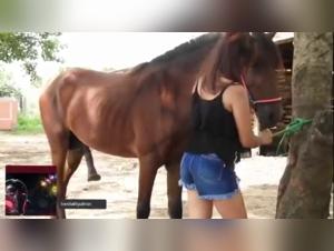 Forbidden Meeting: Teenage Girl and Horse