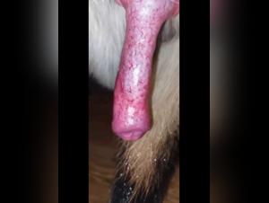 grenzen des Sensiblen erkunden