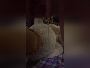 Bestiality: A Forbidden Encounter