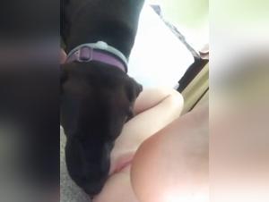 Milly Dogsex Extreme