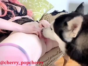 Bestial experience: an expert language for a canine encounter