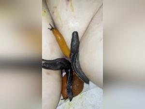 Perra Succiona a su Perro Obsesivo