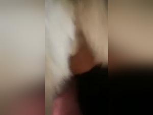 Frau & Hund - Extreme Videos