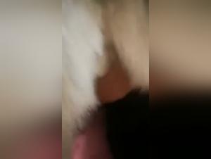 Video Bestiality Zoophilia: Man and Dog