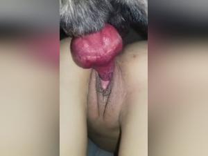 Zoofilia con hamster zoozhamster sexo animalígeno
