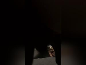 Zoophilia video with a dog and an amateur woman