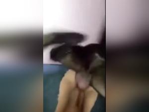 Bestial sex with a beautiful woman and her dog