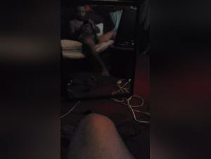 Sex with Dogs Videos