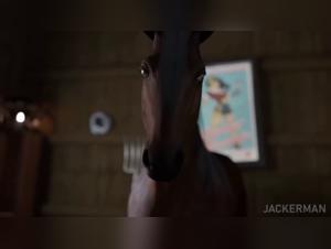 xvideoszoo animal porn