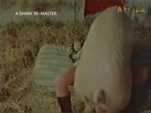 Hit a Sexy Dog: Intense XXX HD Video