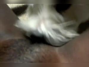 Bestiality with a young black woman and a dog