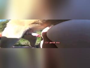 chien défonce une femme