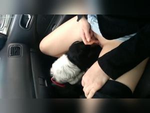 Puta en auto se deja violar por perro - Vídeo XXX Español