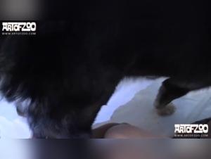 Emily fucks her dog