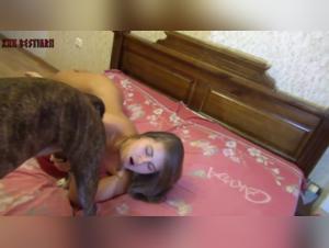 Video of Sex with a Dog