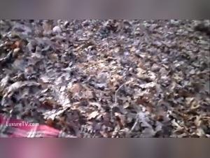 Bestial encounter in the forest